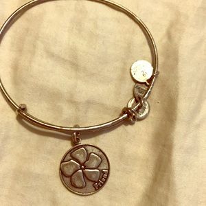 Friend Alex and ani